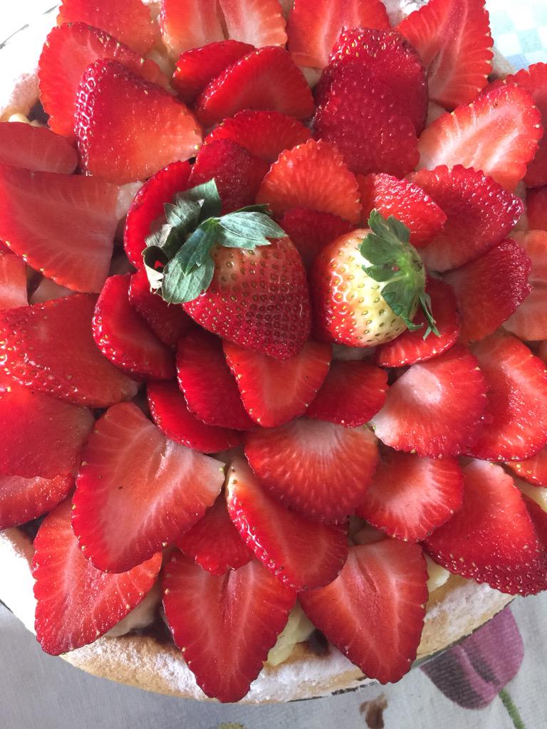 kdashrauhl's tweet image. Bolo da @CodyMania