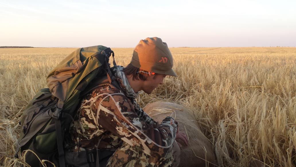 olCal406's tweet photo. Helped Ford put hands on his first elk this AM Always fun taking #firsttimers #firstlite #firstelk #fusioncamo http://t.co/B3K3kpCTBh
