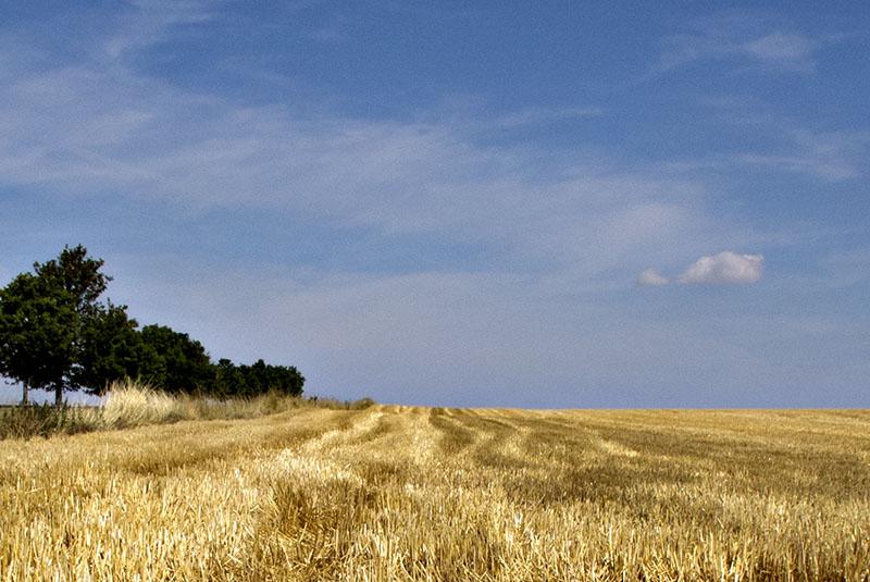 C'est beau la Picardie au mois d'août. #Coincy #Picardie #Aisne #agriculture #photo