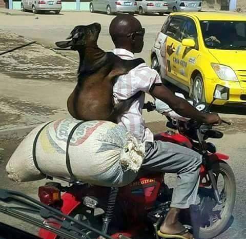 nnampomba's tweet photo. #cpdstudents4 Africa full of amazing things. 😀😁😂 http://t.co/2e9qcpoqeO