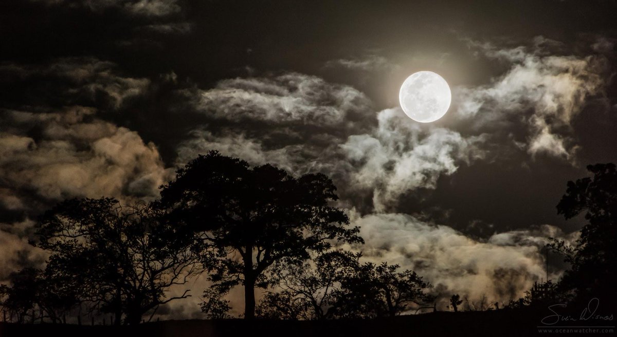 Full moon over Itajubá plus.google.com/+SveinWisnaes/…