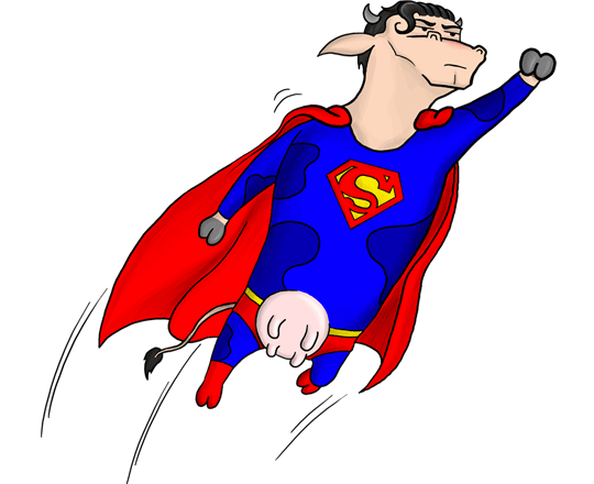 rasikhabbasi's tweet photo. Super Cow!Heading to India for attack :D
Catch her if you can :D
#CowBombs http://t.co/UUElr5vPiC