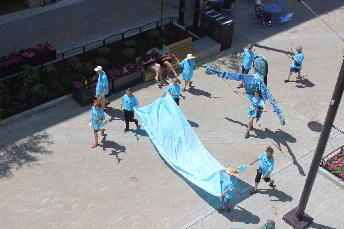 WeAreSenecaLake's tweet image. What a great way to celebrate #twithaca&apos;s activist roots: a flash mob on the new @IthacaCommons! #WeAreSenecaLake