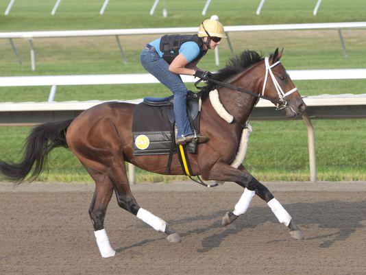 APPSportsDesk's tweet photo. Meet the field for the 2015 Haskell Invitational http://t.co/V97SJ3Tsyt via @smfalk #APPHaskell #AmericanPharoah http://t.co/5NQUeQJSw5