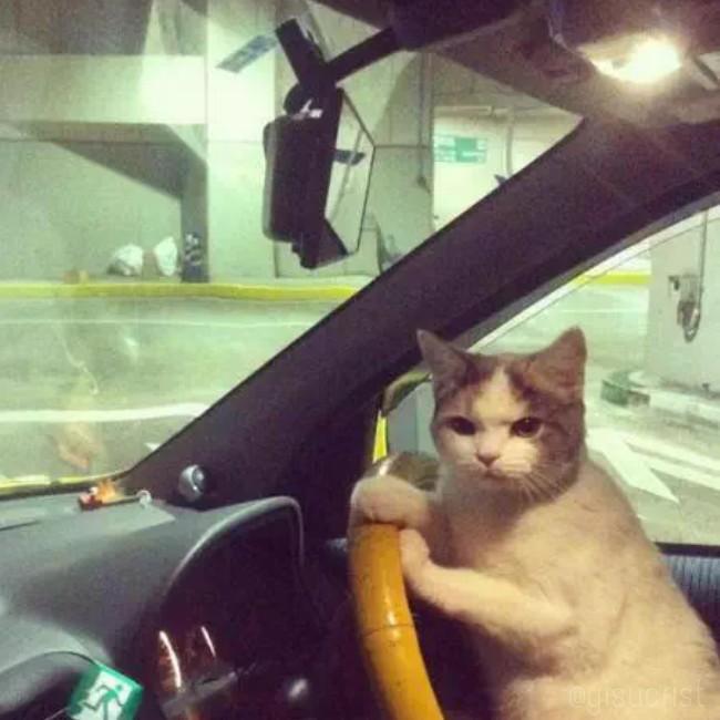 yisucrist's tweet photo. CORRE SUBE AL MALDITO COCHE, NO HAY TIEMPO PARA EXPLICASIONES http://t.co/OcuyPKTQNZ