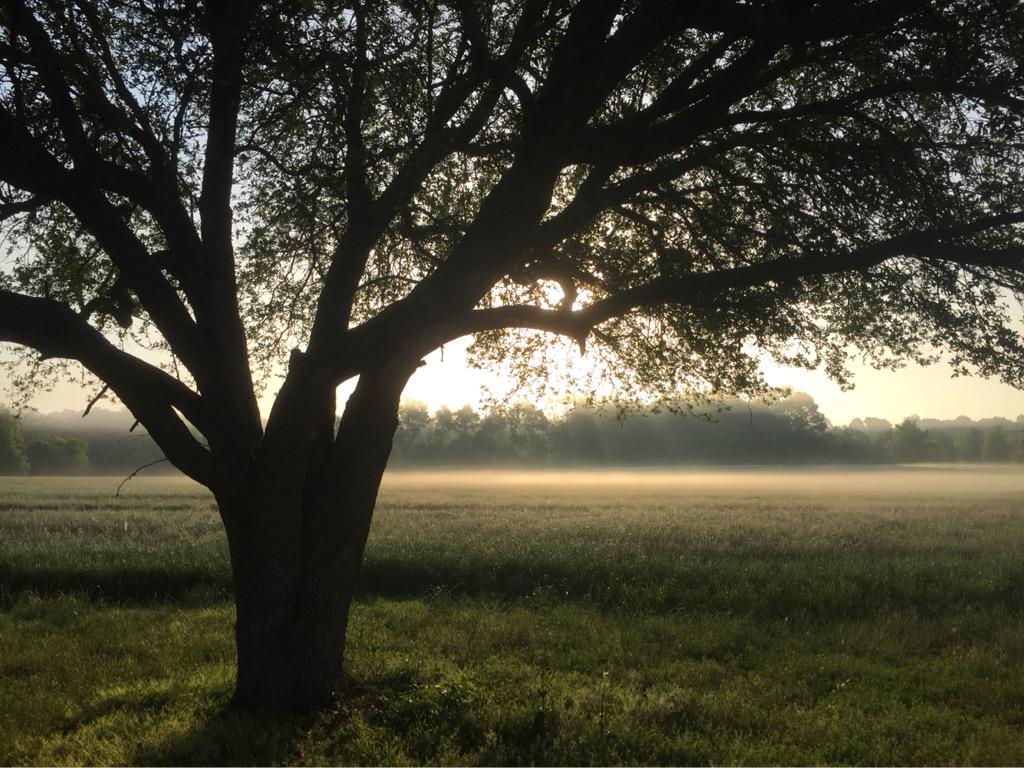 UTRESteph's tweet image. It's a beautiful day in the neighborhood