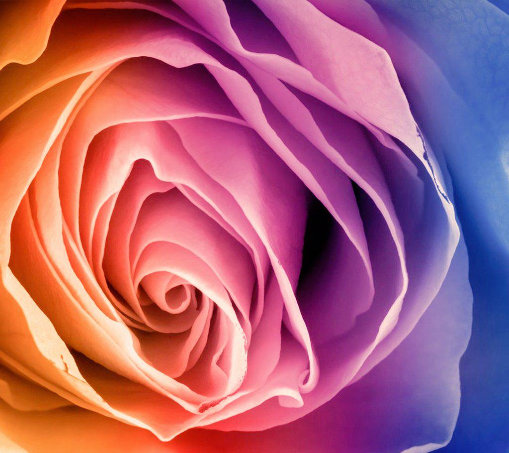 สวย.....