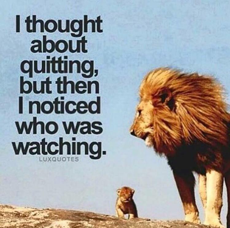 Kylie Travers on Twitter: "I thought about quitting but 