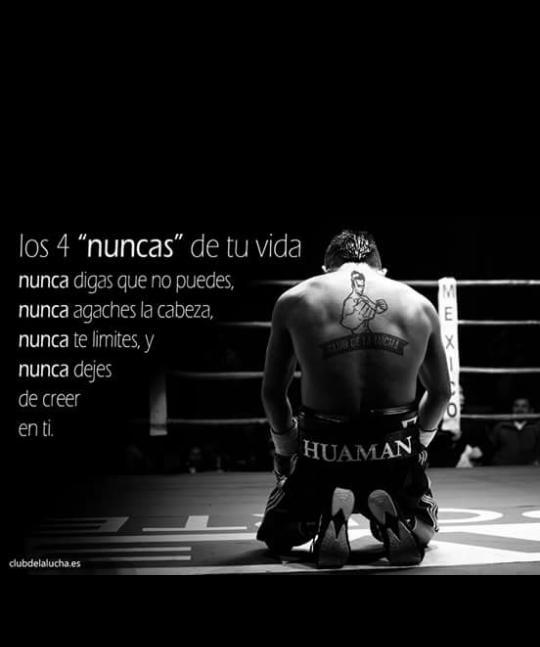 pascual hernandez tweet media