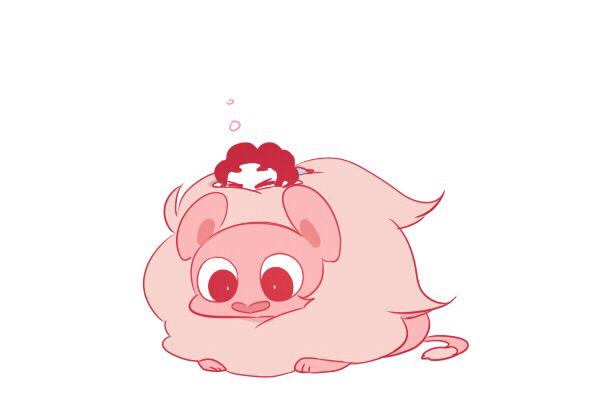 Thisisopal's tweet image. oh lion