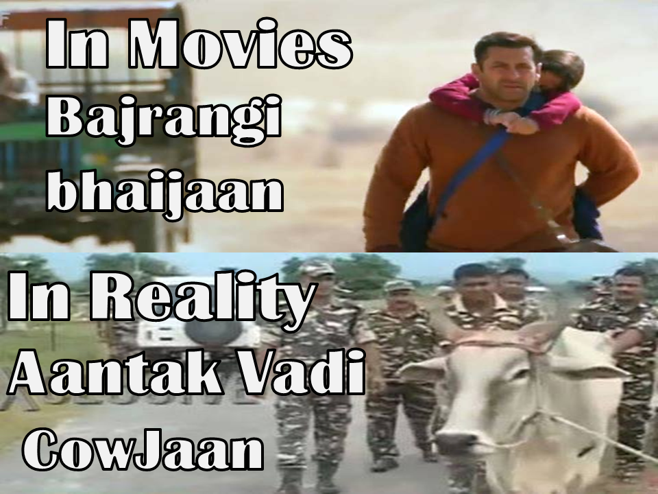 salmannaseem07's tweet photo. #CowBombs #CowJan :P http://t.co/DSpoSplJ9b