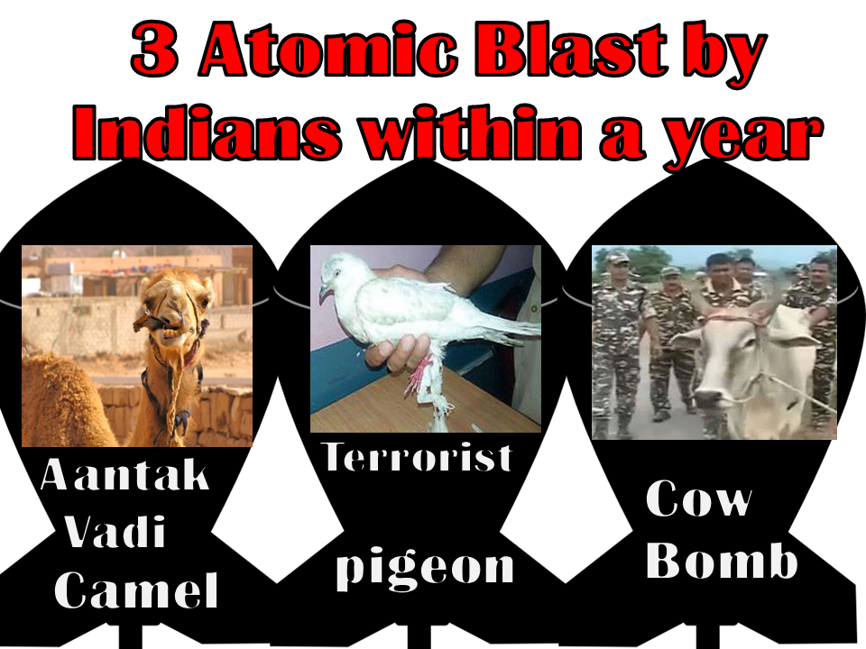 salmannaseem07's tweet photo. #IndianArmy in action under the leadership of @narendramodi
#CowBombs #CowVsIndia #PigeonVsIndia http://t.co/ezbUWt9omT
