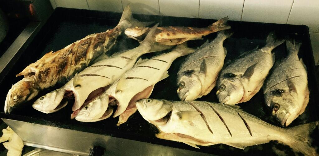 LaGuitarraUL's tweet photo. La Guitarra #ulcinj #ulqin #montenegro #crnagora #fish #fishrestaurant #laguitarra #riba #peshk http://t.co/YLZAon5njP