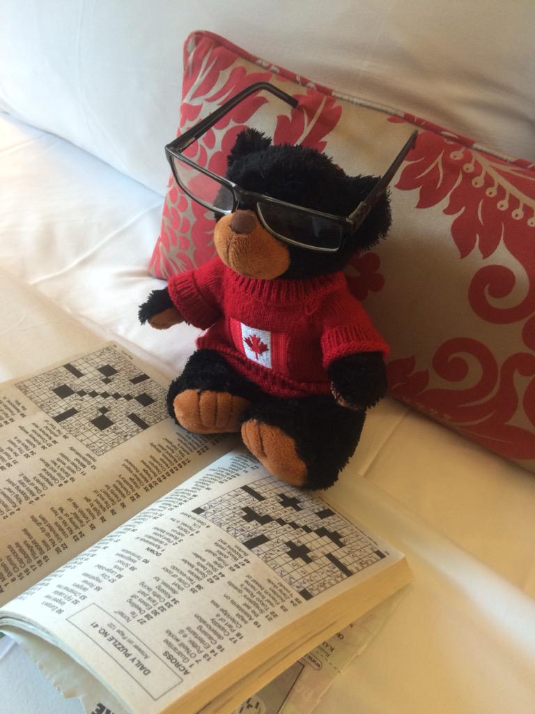 NancyWanstall's tweet photo. @fortier_bill a rare sighting of the elusive #crosswordbear close cousin to #duffythebear #clll http://t.co/uxQtba7VAy