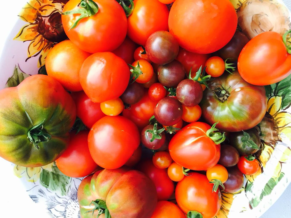 lesleym007's tweet photo. A bountiful harvest http://t.co/jk06ZaQlYp