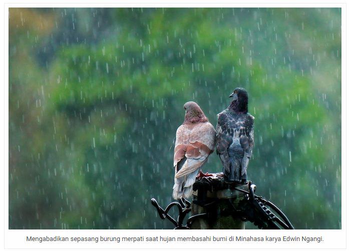 fotokitanet's tweet photo. #Tips #Trik
Banyak hal yang bisa FK-wan abadikan saat dan setelah hujan. #BlogFK http://t.co/UsKS5U0g5a http://t.co/53TH95cATW