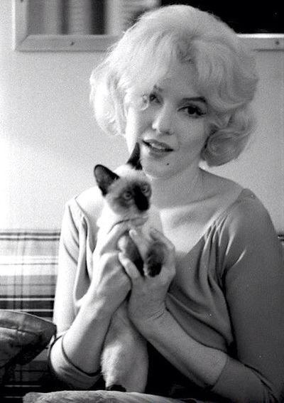 1962_monroe's tweet photo. Rare,good morning http://t.co/QKcAdRyv74