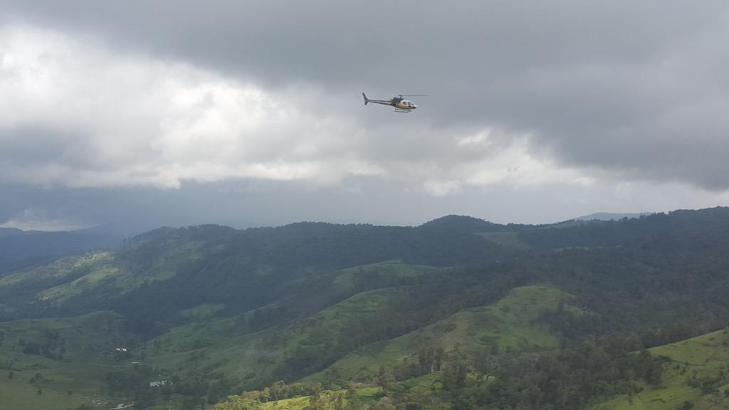 kipmurkomen's tweet image. Kamologon, Embobut  the forest is bouncing back thanks to efforts from the community with government