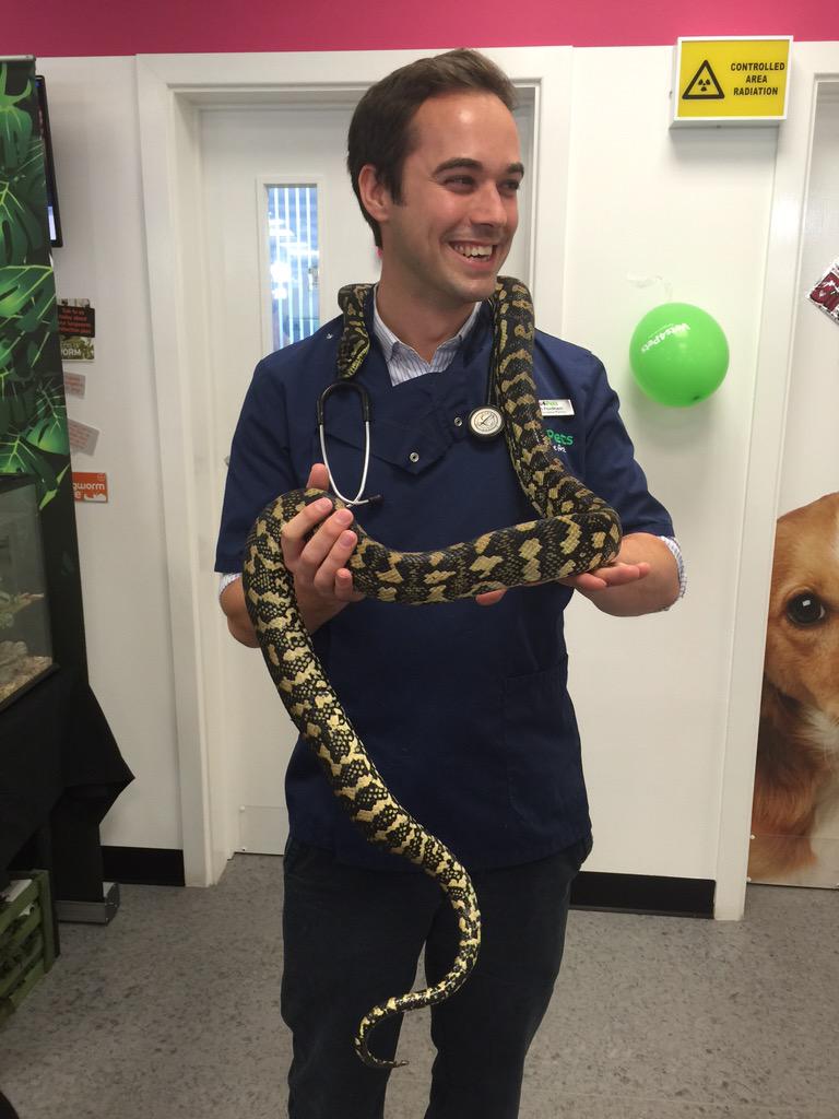 Vets4PetsAltrin's tweet photo. A big thank you to everyone who came to #celebrate with us at the #surgery yesterday - we had a sssuper time! 🐍 http://t.co/zyucpKBu53
