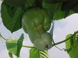 ferry_desta's tweet photo. http://t.co/I2O7mEXkOn