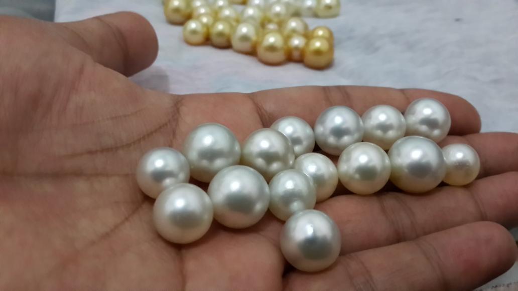 rodhy_scrab's tweet image. Sout sea pearl