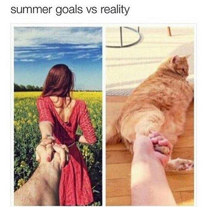 Relatable tweet media