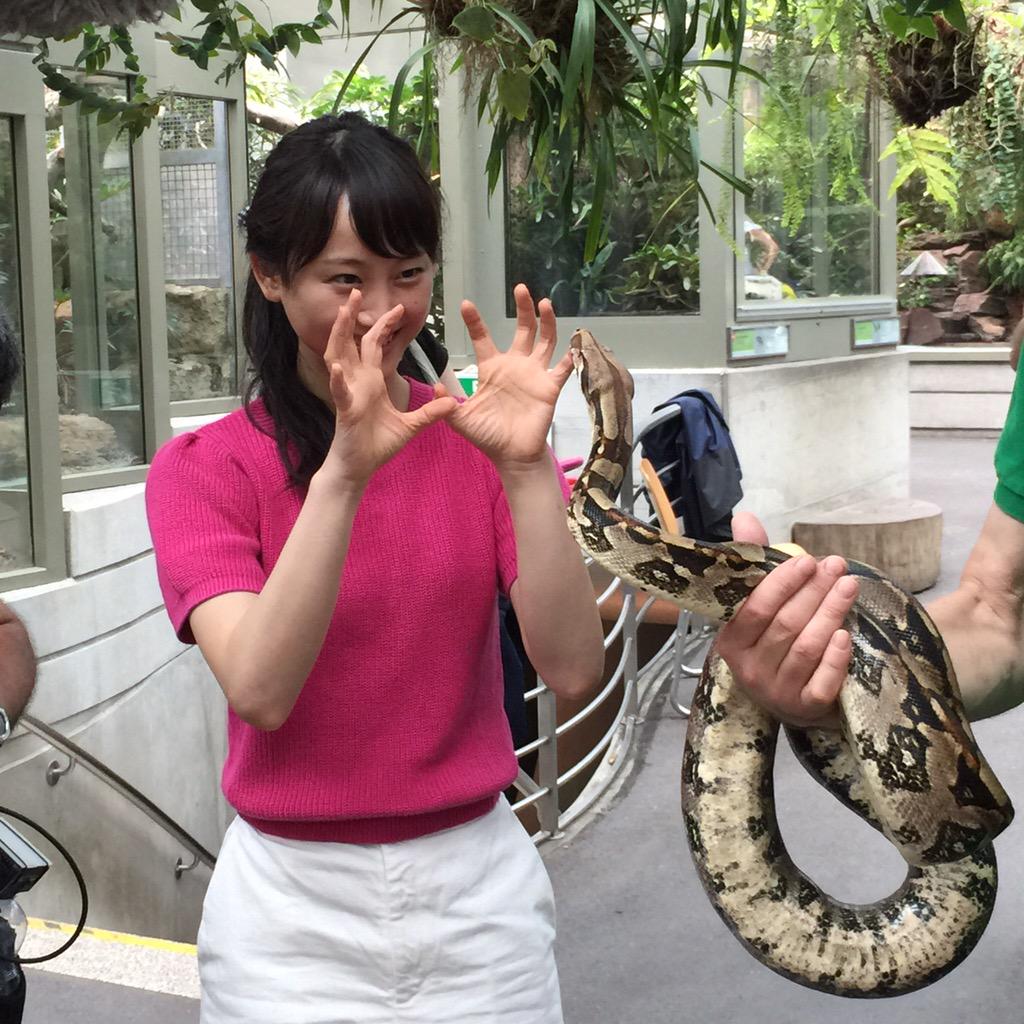 松井玲奈オフィシャルインフォメーション 来る8 8 土 00 Nhk Bsプレミアム 世界 最高峰 究極の動物エンターテインメント スイス チューリヒ動物園の舞台裏 が放送 Hpに動画も公開されました 皆さまお楽しみにー Http T Co 71xr4nrc1s Http