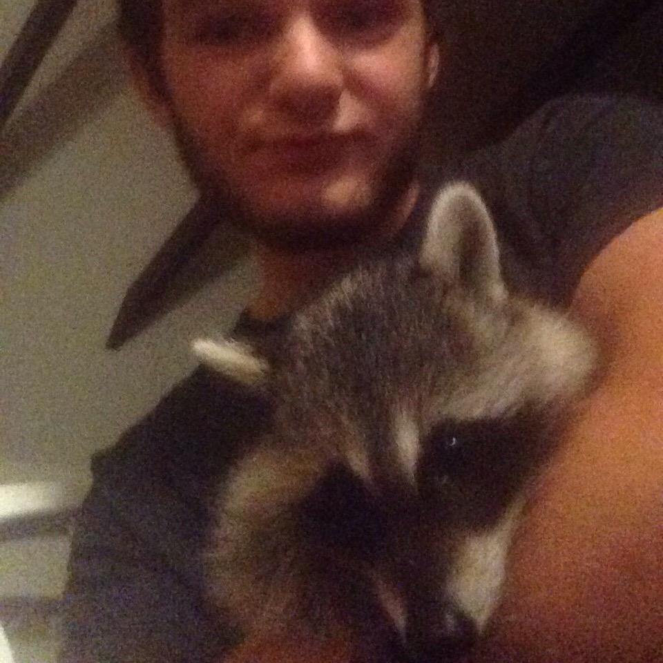 deanjones4's tweet photo. Cause I like coons http://t.co/n1jzpkV152