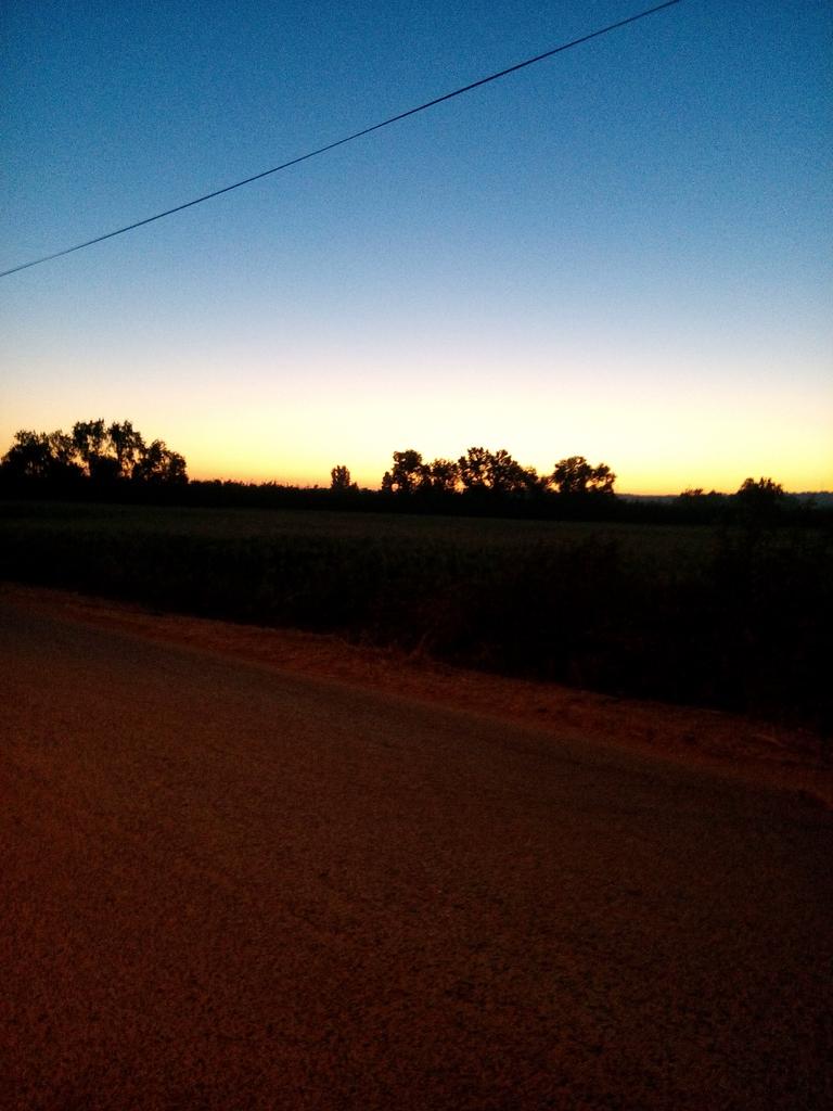 HugoMSGil tweet picture
