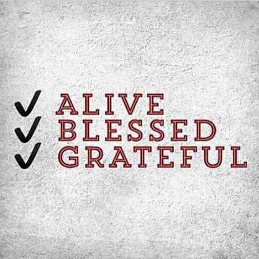 Blessed To Be Alive Quotes Wright Thurston Ar Twitter: "* Alive * Blessed * Grateful @10Millionmiler  #Quote #Gratitude #Leadership #Inspiration #Quotes Rt @Gymdatbody  Https://T.co/Van8Ho0R7E" / Twitter