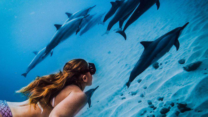 Go_Pro_Best's tweet image. #GoPro #life #selfie