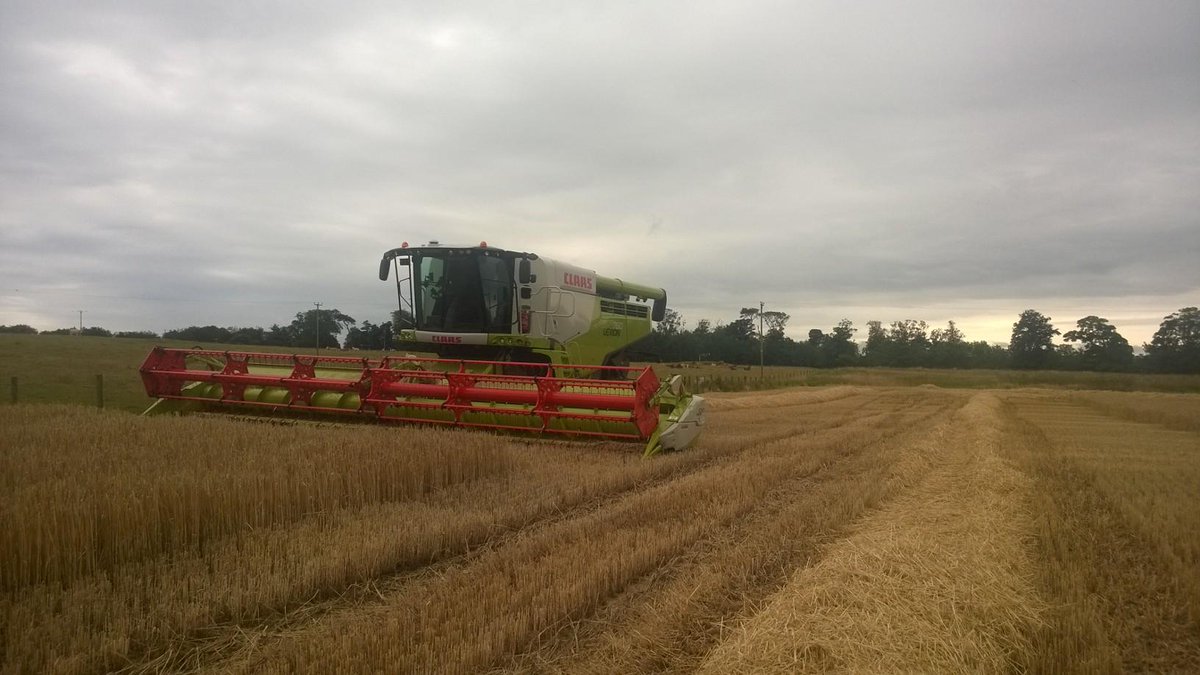 balgoneestate's tweet photo. 2015 harvest underway at balgone... not for long tho #feckinrain http://t.co/N4lcDCXSt9