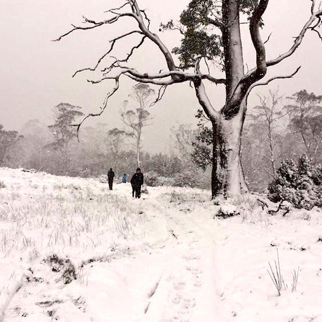 greg_faull's tweet photo. Cradle Mountain winter wonderland this afternoon by Ryan Douglas #Tasmania #TassiePics @Heart1073 @themercurycomau http://t.co/3PBBtcTTqp