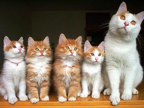 zPicture's tweet image. 