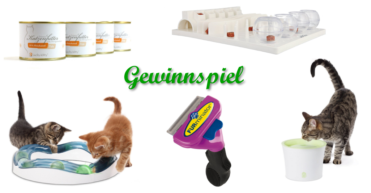 KatzenFanBlog tweet picture