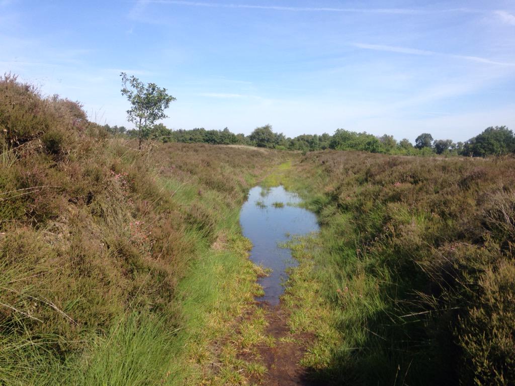 MartinCoerts's tweet image. Natte voeten op O #ATB Balloerveld #loopgraven 1e Wereldoorlog vol #water