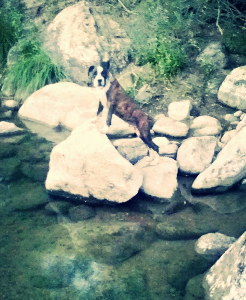 alfonso8595's tweet photo. Mañaneo de rio :)) http://t.co/RLPTElGUiU
