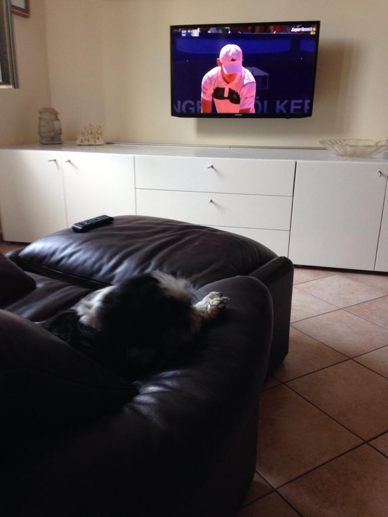 AdrianoGhizzoni's tweet photo. @SuperTennisTv telespettatori a 4 zampe #tennis #gstaad #supertennis #matchpoint #matchday http://t.co/fzQ0UV1R1z