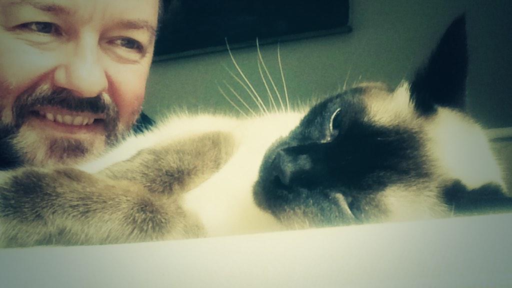 Have a peaceful night
