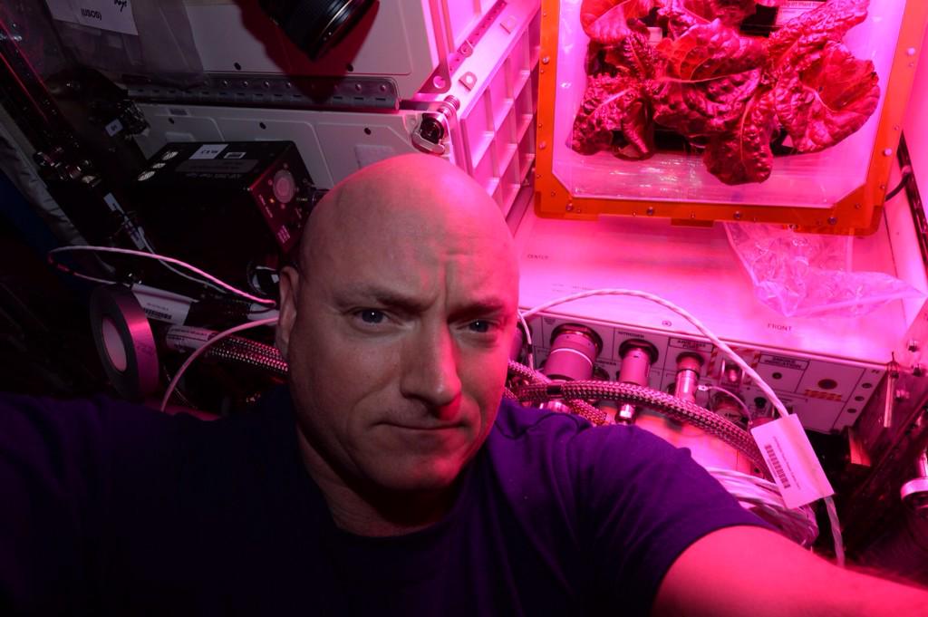 StationCDRKelly's tweet photo. Tomorrow we'll eat the anticipated veggie harvest on @space_station! But first, lettuce take a #selfie. #YearInSpace http://t.co/fUKQMhEDjK