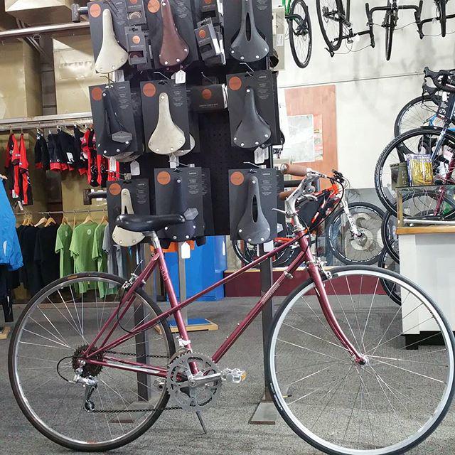 bridgestone 300 bike