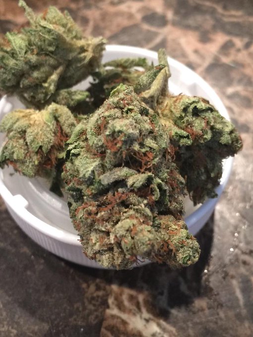 Smokin on sum #MasterP from #RDC http://t.co/BvCcDLa5BF<a href="/tag/masterp"class="tags">#MasterP</a><a href="/tag/rdc"class="tags">#RDC</a>
