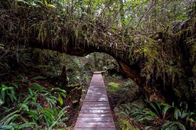 touch_downBC's tweet photo. Moments in time #photography #2015collection #myedit #mypassion #vancouverisland #travel #ipic http://t.co/OfuDRY6Xag