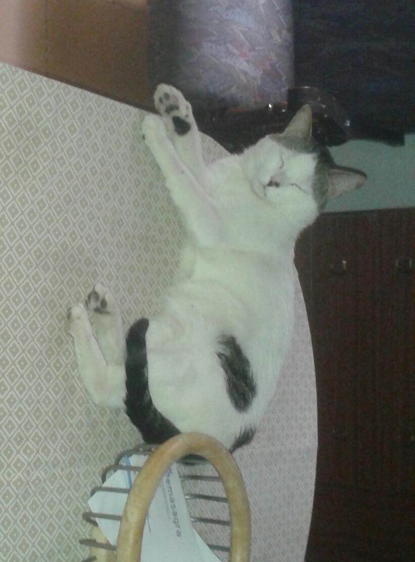 ElosInVerso's tweet photo. Perdido zona Gran Capitán. @LigoteoUGR RT http://t.co/MiazXlvTcN