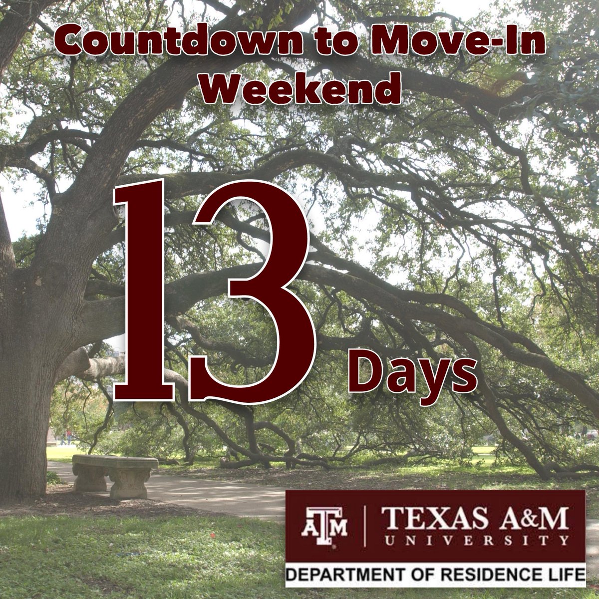 TAMUResLife's tweet photo. Just under two weeks! #MyWhiteCreek #MyResHall #MoveInIsComing http://t.co/YydRj936cu