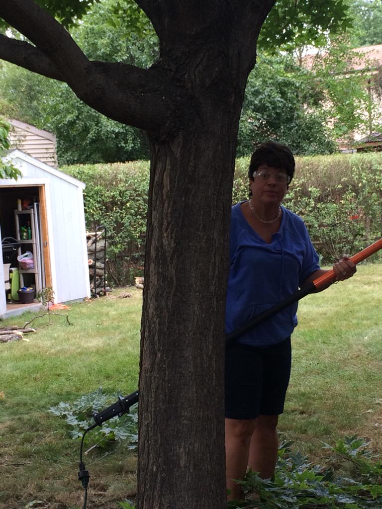 justdianethings's tweet photo. queen hard at work!! http://t.co/oPCDVlDXnx