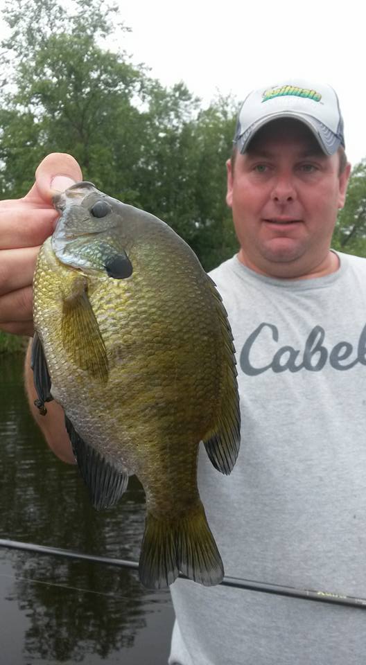 GrnH20Walleyes's tweet photo. Big Gills today! @StCroixRods @CustomJigsSpins @jandscustomjigs #Baitmate http://t.co/ZOY7d3cYZK