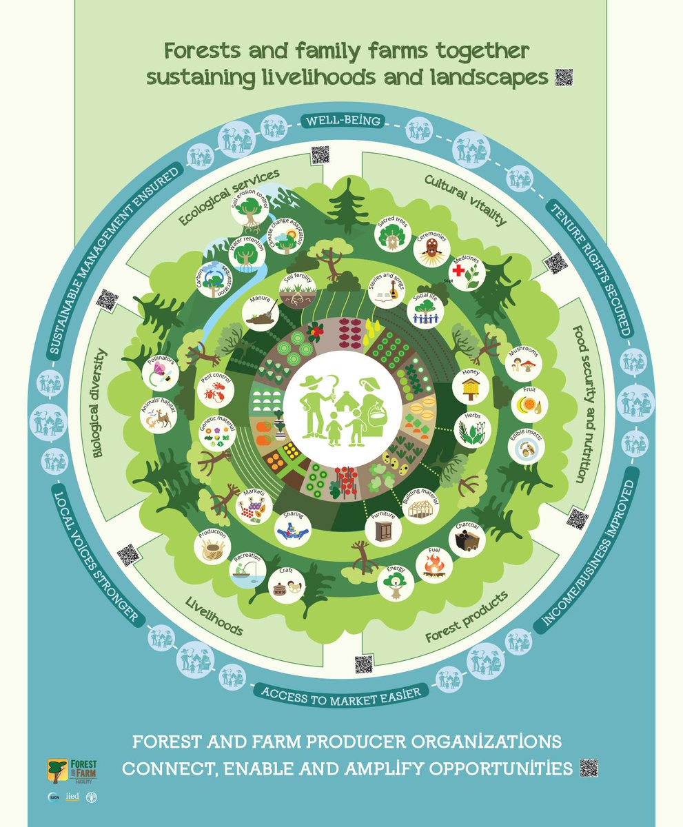 DaniNierenberg's tweet photo. Yes! Farming farms and forests CAN co-exist. @fao http://t.co/mpRAnMwZ4x