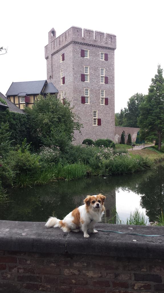 unserwanderblog's tweet photo. #rodebeek #wasserwanderwelt wunderschöne 12km lange wanderung durch das deutsch/holländische grenzgebiet http://t.co/LV5LRTtDBN