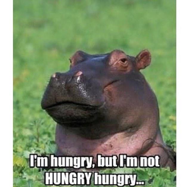 creolbrothers's tweet photo. #SUNDAYMOOD 😑
#sundays #lol #yup #mood #hippo #creolbrothers #refreshtodeath #spreadthelov… http://t.co/BE5BZgnKkq http://t.co/alLP4EF7QK